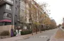 美利山实景图