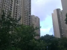 中信凯旋国际 朝南 3加1户型