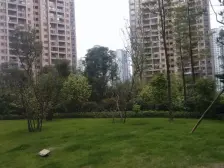 华岩新城 金科阳光小镇天天向上二房35万