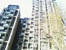 四室两厅两卫,通厅通透户型,两卧朝南 客厅南 双M