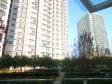 理想新城 1室1厅 南