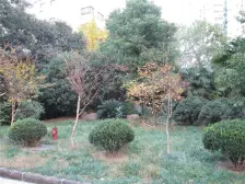 大开间,双阳台,精装修,诚意出售