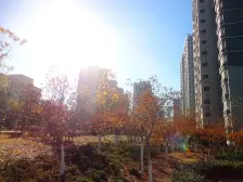 工业南路,小鸭,单价5600,价格可谈着急出手!