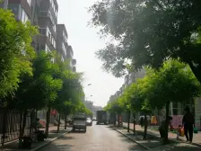 房款少 两个 大卧室 简装 可议