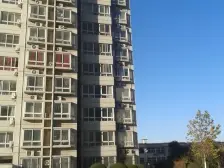 洪楼片区出租好房洪楼1小南向总价低电梯房全明户型