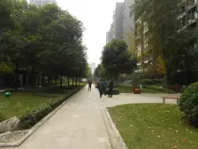 巴国城精装一室一厅金科品质楼盘金科物业急售优质房源