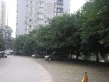 森林式小区,住家装修,出行便捷,