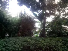 近地铁,采光好,电梯房,家具全送 必看好房