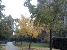 滨湖世家,1楼有花园,地复式 使用面积大