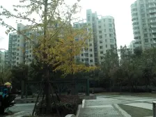 房子是三期的,楼栋距很大,中高楼层,视野非常开阔。