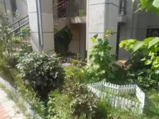 东方圣荷西 3室2厅 南 北