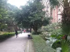 毛线沟 顺通花园一房