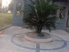 近地铁 无抵押 通风好,采光好,新上房源