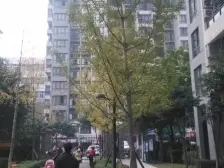 隆鑫大盘精装三房小区双轨道业主急售