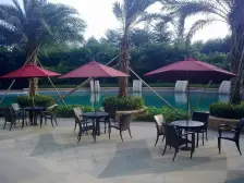 市区独栋别墅占地一亩地配套齐全