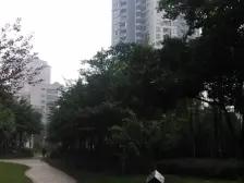 奥体旁 精装一室一厅 交通便利 业主诚意