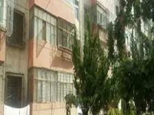 西站三角线十字 小两室 东西朝向 出门公交 菜市场