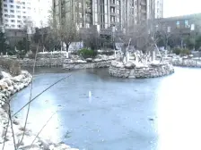 五一广场,颐和香榭多层电梯品质洋房东北路21中间楼层