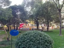 电梯房,小区中心位置,交通便利,精装修,采光充足