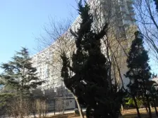 大纺 亿达精装三室 位置好 近地铁 诚心卖