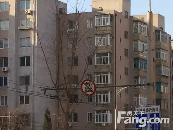 英华街实景图