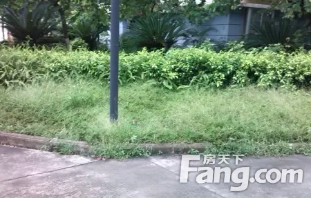房源图片