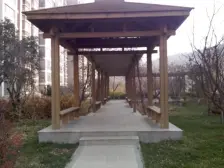 康桥颐东 1室1厅 南 西