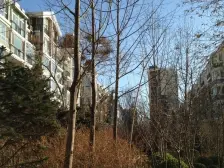 晶城秀府2室2厅南北