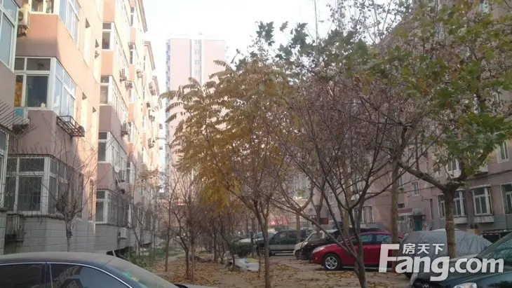 东五里新村实景图