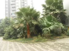 二郎 欣茂苑三房