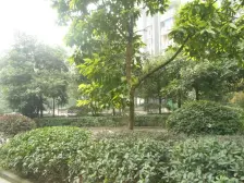 欣茂苑 2室1厅 东南