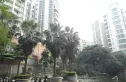 中南海晖园实景图