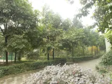 轻轨环线华龙站旁,大两房,精装修,户型方正急售