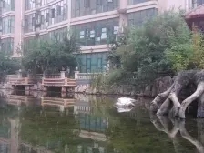 三环内 园林小区 使用面积大 配套齐全 出行便利