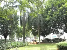 嘉乐花园 准电梯大两房 户型方正 交通方便