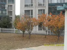 中华名城多层洋房带电梯,三室两厅两卫清水