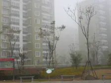 新出的南北通双阳台 二卫的房子 楼层佳 价格美丽