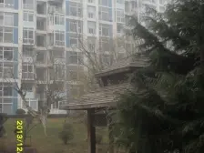 无坡电梯 封闭小区 3室2卫 采光不挡 隆泉华庭