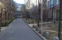 金鱼池中街2号院实景图