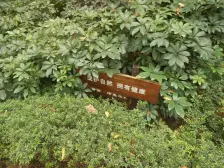 区府 晋愉岭海三房265万