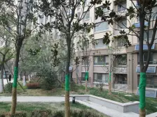 总高11层小高层,两居室,中楼层,南面无任何遮挡