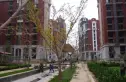 西山国际城实景图