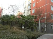 闹中取静 纯多层社区 有车位有地下室