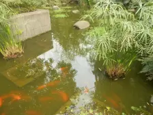 九龙坡区带12.5平米阳台、东边户、朝中庭