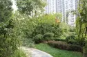 禧福汇国际社区实景图