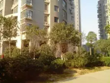 未来城 2室1厅 东 西