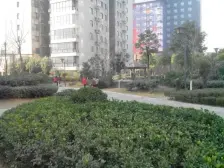 此房社区环境好,人车分流 双气 视野开阔 ,布局合理