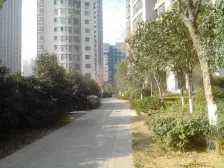 未来城 1室1厅 东南