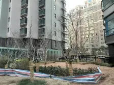 海天一品电梯楼高区管委火炬八街林海公园国际海水浴场