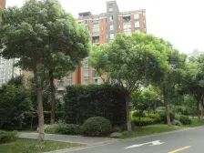 这是一哇塞的房子 阳光耀眼 公园景观尽收眼底